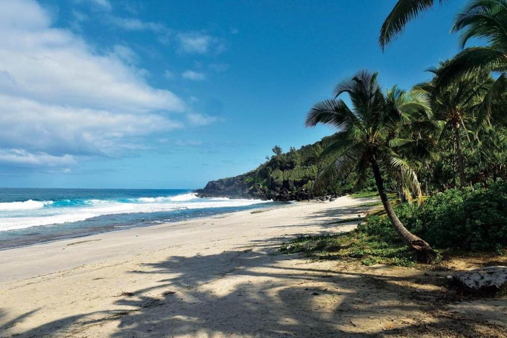 Plage de Manapany avec palmiers et vagues turquoises - Sud Sauvage La Réunion